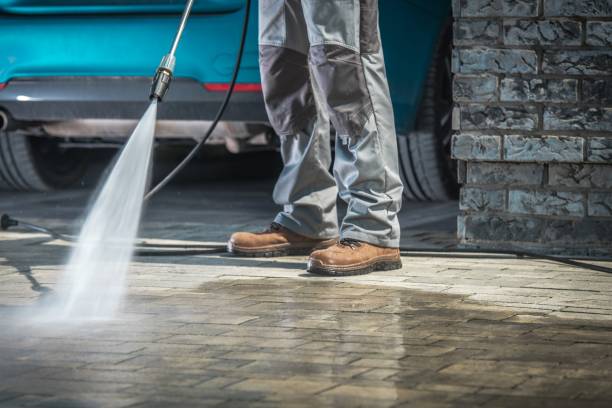 Best Spring Cleaning  in Belle Glade, FL