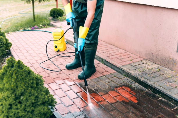 Best Driveway Pressure Washing  in Belle Glade, FL